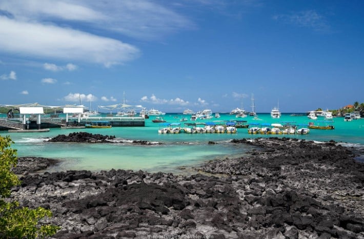 Affordable Travel Tours to the Galapagos