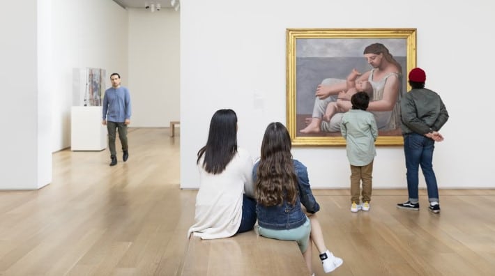 Art Institute Ticket Price